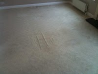 AJM ELITE   CARPET CLEANING and WINDOW CLEANING 977915 Image 2