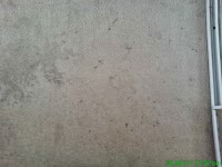 All Clean Exterior and Carpet Cleaning 960076 Image 0