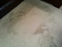 Bone Dry Carpet Cleaning 988839 Image 7