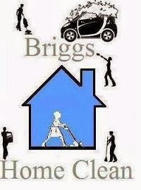 Briggs Home Clean 983702 Image 0