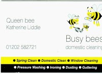 Busy Bees Domestic Cleaning Limited 970291 Image 0