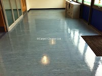 Carpet Cleaner Ltd 969474 Image 3