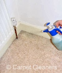 Carpet Cleaners Bournemouth 959547 Image 1