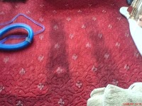 Carpet Cleaning CWP 978669 Image 3