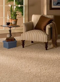 Carpet Cleaning Services 971781 Image 5