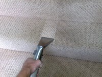 Carpet Cleaning Woodbridge  Woodbridge Carpet Care 991659 Image 6