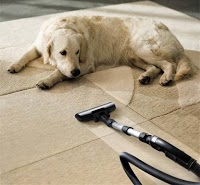 Carpet Medic carpet and upholstery cleaning 966627 Image 0