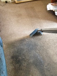 Challenge Carpet and Upholstery Cleaners 979717 Image 5