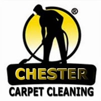 Chester Carpet Cleaner 984481 Image 1