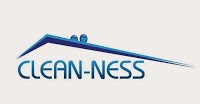 Clean Ness 967922 Image 0