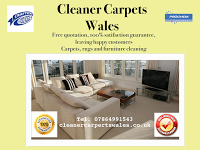 Cleaner Carpets Wales 970622 Image 1