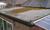 Complete Roofcare 982161 Image 6