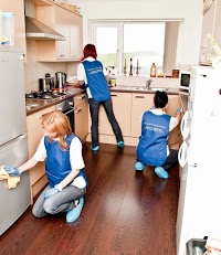 Diamond Domestic Cleaning Services Ltd 962826 Image 0