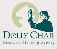 Dolly Char Domestic Cleaning Edinburgh 968133 Image 1