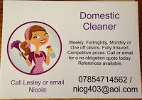 Domestic Cleaner 966619 Image 0
