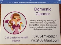 Domestic Cleaner 966619 Image 2