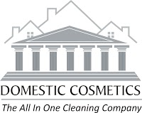 Domestic Cosmetics Cleaning Services 963416 Image 1