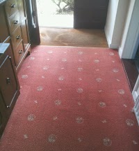 ELITE carpet and Upholstery Cleaning 990191 Image 1