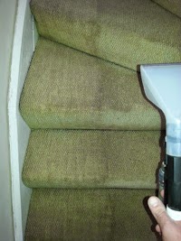 ELITE carpet and Upholstery Cleaning 990191 Image 3