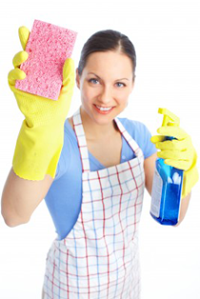 Easy Cleaners 981544 Image 3