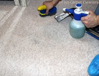 Fast Carpet Cleaners 987052 Image 9