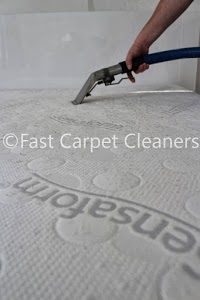 Fast Carpet Cleaners 989844 Image 2