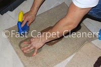 Fast Carpet Cleaners 989844 Image 3