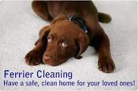 Ferrier Cleaning Specialists Glasgow 971188 Image 0