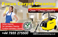 Focus Carpet Cleaning 965068 Image 0