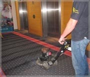 Future Carpet Cleaning Services Ltd 985718 Image 1
