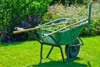 GPH Garden Care (Lawn Treatments and Garden Maintenance) 973983 Image 3