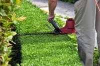 GPH Garden Care (Lawn Treatments and Garden Maintenance) 973983 Image 5