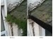 Gutter clean and Pressure washing services 979048 Image 4