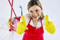 HD6 Domestic Cleaners 987000 Image 4