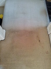 Habex Carpet Cleaning, End of Tenancy Cleaning 959703 Image 5