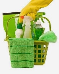 Lings Domestic Cleaning Services 961927 Image 0