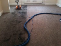 Magic Carpets Cleaning Services 958113 Image 1