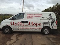 Molly Mops Ltd 975038 Image 1