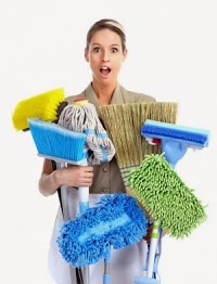 NP Cleaning Agency 978971 Image 1