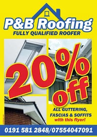 P and B Roofing 975958 Image 1