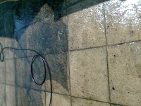 Pressure Wash and Gardening Services 972369 Image 1