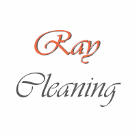 Ray Cleaning 964345 Image 0