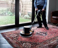 SJS The Professional Carpet Cleaner 981246 Image 2