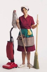 Sinini Domestic Chores Services, 961557 Image 0