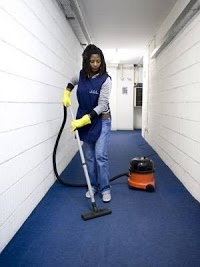 Sinini Domestic Chores Services, 961557 Image 1