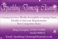 Sparkling Domestic Cleaning 961783 Image 0