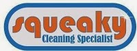 Squeaky Cleaning Specialist 973053 Image 0