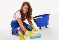 The Celtic Cleaning Company 987018 Image 0