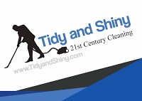 Tidy and Shiny Cleaners 971434 Image 5