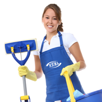 Vale Cleaning Services Ltd. 975446 Image 0